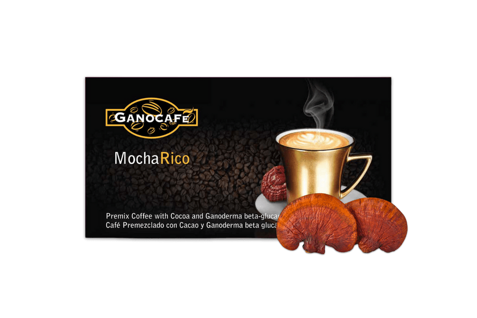 GANORICO MOCHA RICO